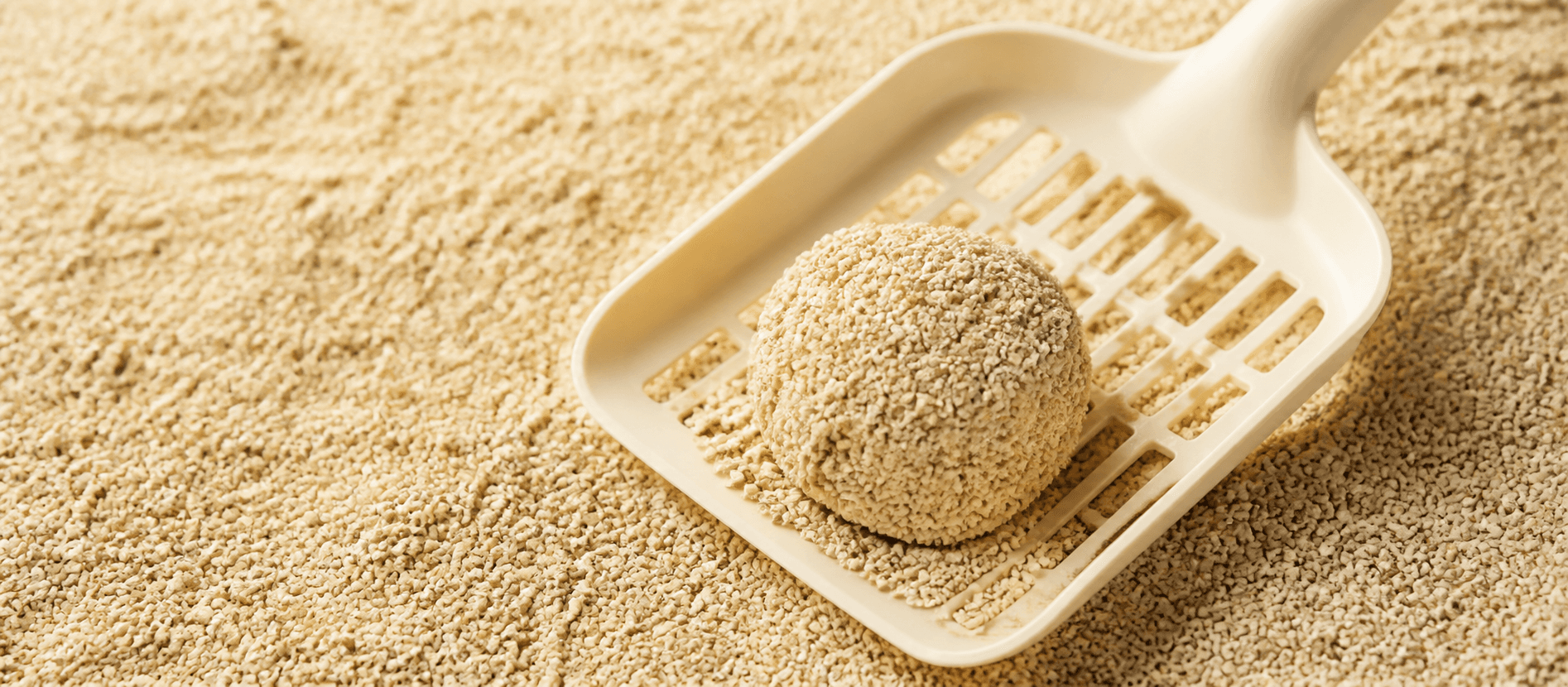 Compact clump of cat litter resting in a litter scoop
